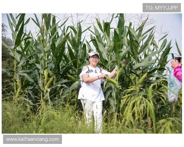 凯时人生就是赌:在不断的选择中积累经验,走出属于自己的精彩人生 凯时人生就是赌:在不断的选择中积累经验,走出属于自己的精彩人生