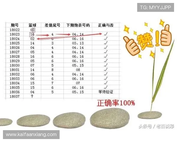 凯发K8世界杯下注：如何选择最优投注策略提升赢率