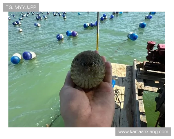 K8捕鱼电玩最新版本上线,新增多种特色捕鱼模式和丰富的奖励活动等你来挑战